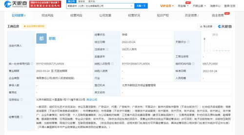 無證經(jīng)營網(wǎng)絡(luò)文化產(chǎn)品的風(fēng)險(xiǎn)與合規(guī)路徑探析